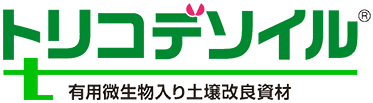 トリコデソイル